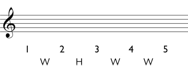 Minor triad step 2: Write the whole steps and half steps between each scale degree