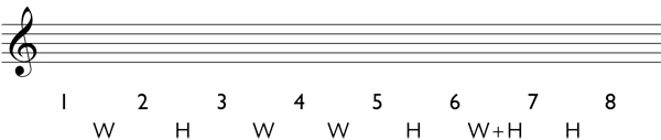 How to determine the notes of a harmonic scale Step 2: write the pattern of whole steps and half steps