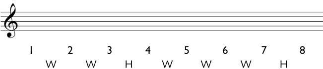 Major scale: Write the pattern of whole steps and half steps