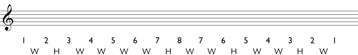 Step 2 for writing a melodic minor scale: write in the whole steps and half steps
