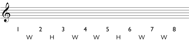Natural minor scale step 2: write in the whole steps and half steps